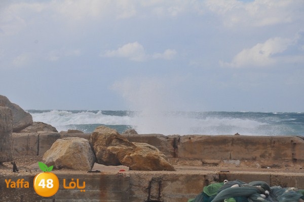 yaffa rain 1211 (34).JPG